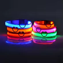 Coleira LED Pelaria — Passeio Noturno Seguro e Recarregável