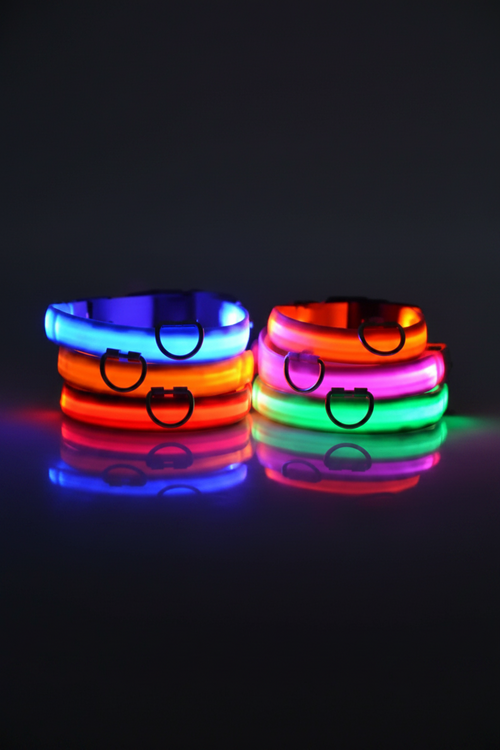 Coleira LED Pelaria — Passeio Noturno Seguro e Recarregável