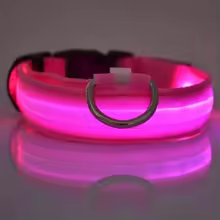 Coleira LED Pelaria — Passeio Noturno Seguro e Recarregável